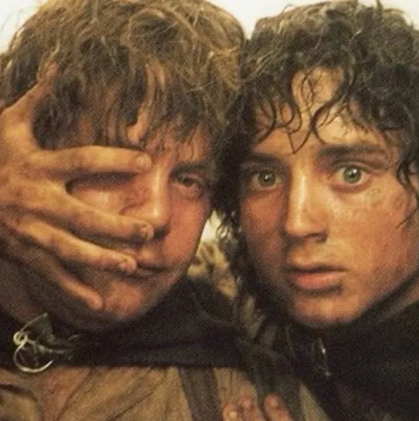 A photograph of Sam and Frodo from the Lord of the Rings movie. The two hobbits are pictured from the neck-up, exhausted and covered in grime. Frodo looks shell-shocked and stares directly at the viewer. Sam squints from behind Frodo's fingers, as the left side of his face is covered by Frodo's hand.